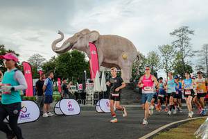 BIB: 
                            <button type="button" onclick="openModal(26528308)" class="btn btn-primary btn-sm float-right btn-popup" data-toggle="modal" data-target=".modal-high-quality">
                        <i class="fas fa-shopping-cart"></i> Add to Cart
                    </button>
                                            <button type="button" onclick="isThisMe(26528308, true)" class="btn btn-success btn-sm float-right btn-popup btn-isme hidden" data-toggle="tooltip" data-placement="bottom" title="นี่คือรูปของคุณใช่ไหม คลิกที่นี่เพื่อเอาเข้าอัลบั้ม">
                        <i class="fas fa-plus"></i> Add to album
                    </button>
                    <button type="button" onclick="isThisMe(26528308, false)" class="btn btn-warning btn-sm float-right btn-popup btn-isnotme hidden">
                        <i class="fas fa-ban"></i> Remove from album
                    </button>